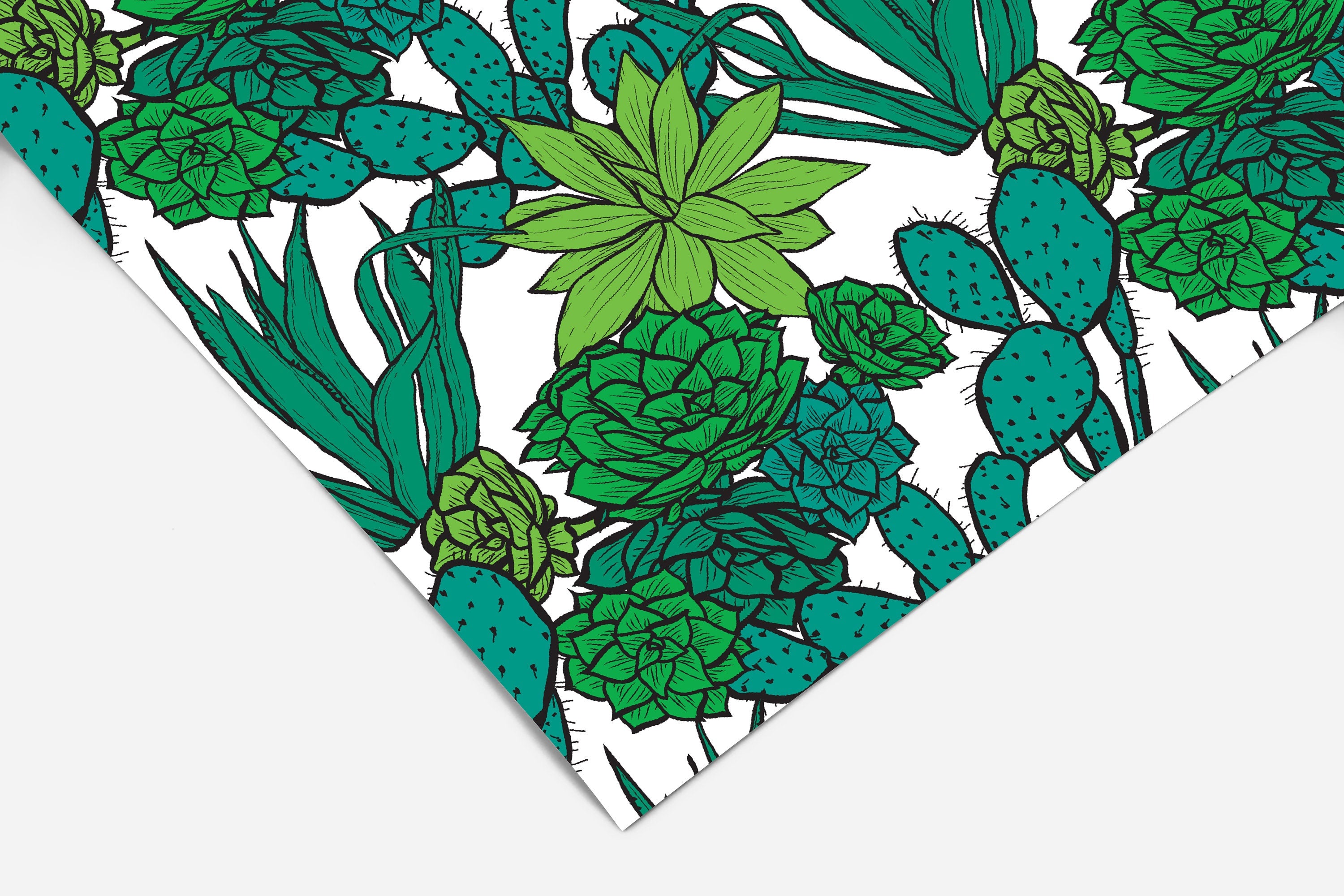 Teal and green cactus and succulent botanical contact paper with hand-drawn plants on a crisp white background.