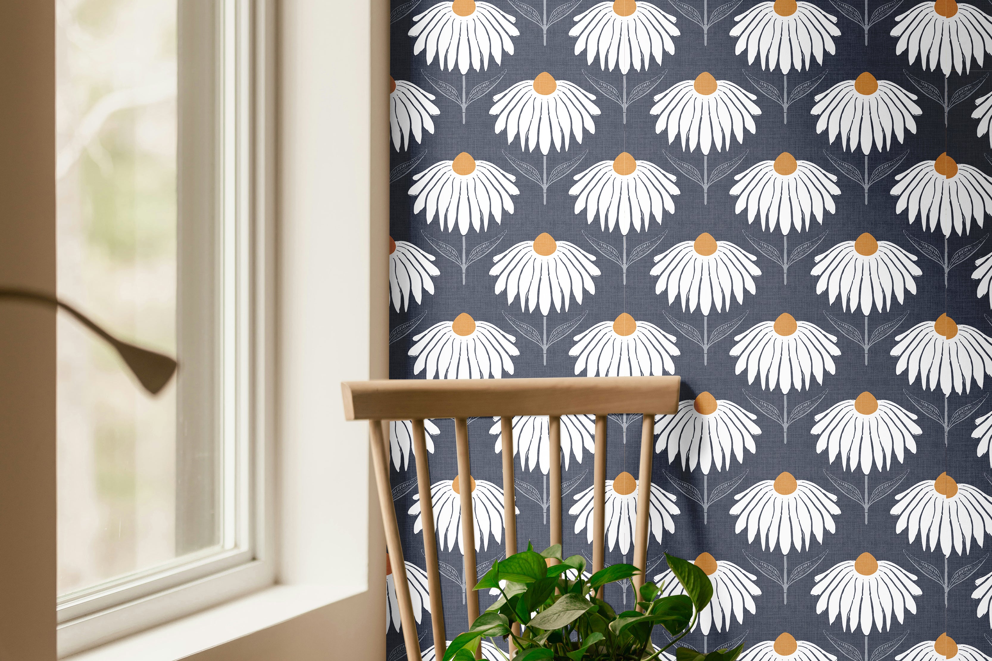 Chantelune Noir 2249 navy blue floral wallpaper featuring repeating white coneflowers with warm golden centers, styled in a cozy room with a natural wood chair, trailing green plant, and sunlit window.